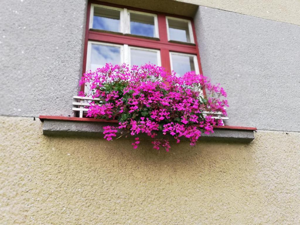 Villa Oliva Český Krumlov Buitenkant foto